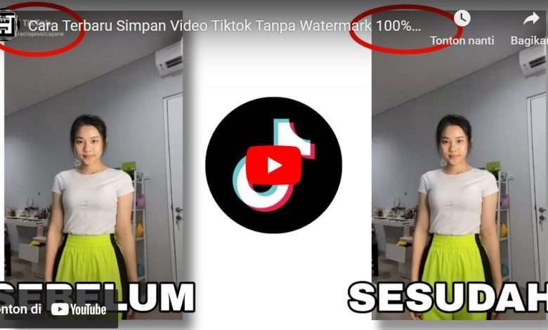 Download Video Tiktok Tanpa Watermark