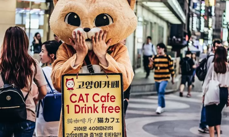 bokeh korea