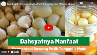 manfaat bawang lanang