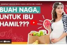 Manfaat Buah Naga Untuk Ibu Hamil