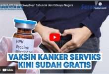 Vaksin HPV