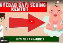 cara mengatasi bayi sering kentut