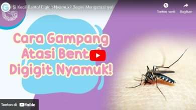 Cara Menghilangkan Bekas Gigitan Nyamuk pada Bayi