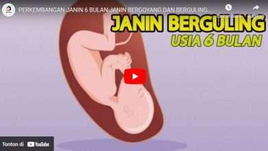 Perkembangan Janin 6 Bulan