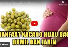 7 manfaat kacang hijau untuk ibu hamil