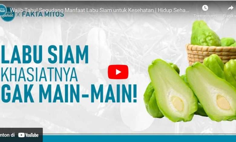 Khasiat Labu Siam