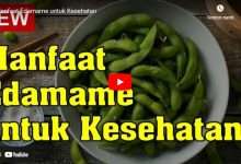 Manfaat Edamame untuk kesehatan