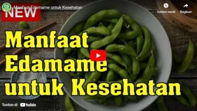 Manfaat Edamame untuk kesehatan