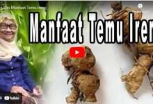 Manfaat Temu Ireng