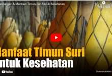 Manfaat timun suri untuk kesehatan