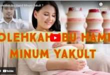 Yakult untuk Ibu Hamil