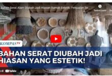 Pengertian dari Serat Alam Adalah