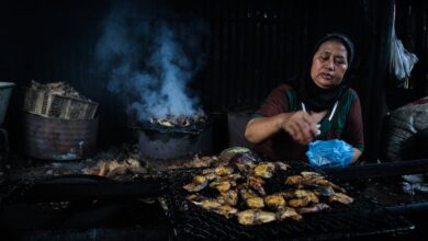 khasiat dari ikan gabus