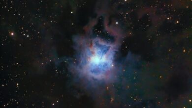apa itu yandex blue