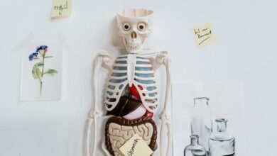 faktor internal