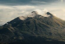 persatuan renang indonesia disebut