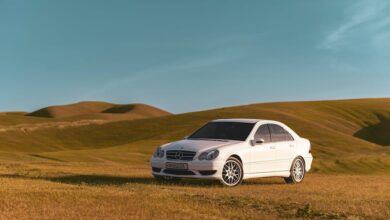 Panduan Praktis Mengatur Auto Clicker Mod Apk di Higgs Domino