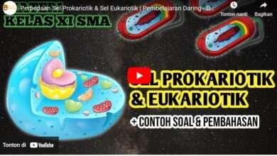 Perbedaan Sel Prokariotik dan Eukariotik (Penjelasan & Tabel) - Diperbarui