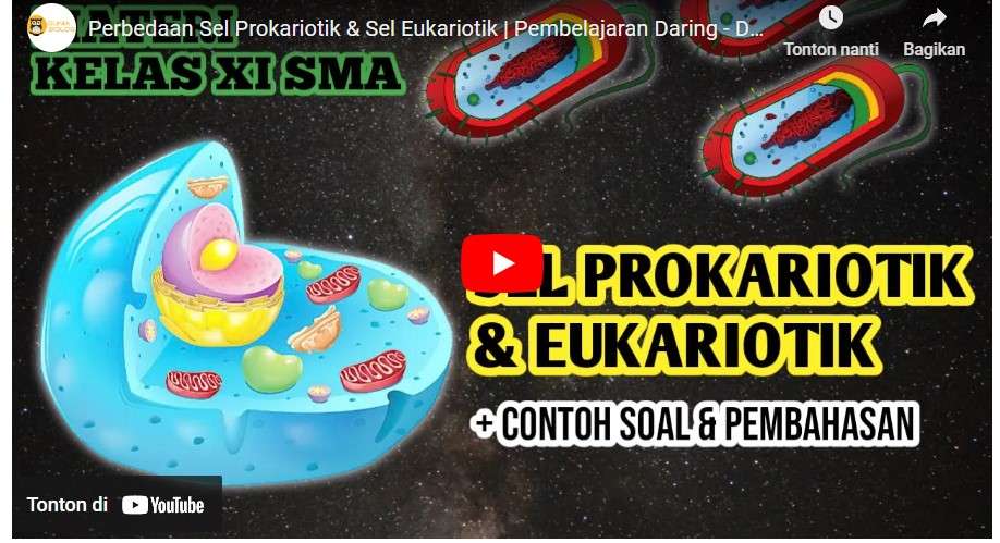 Perbedaan Sel Prokariotik dan Eukariotik (Penjelasan & Tabel) - Diperbarui