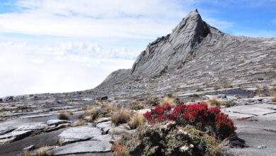 Tenda Bergoyang di Gunung Salak: Pengalaman Seru Wik Wik Tengah Malam
