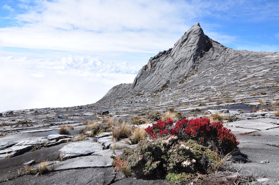 Tenda Bergoyang di Gunung Salak: Pengalaman Seru Wik Wik Tengah Malam