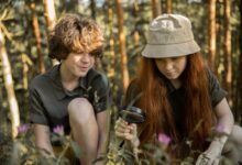 Exploring the Viral Twitter Sensation: Korea's No Sensor Bokeh Museum
