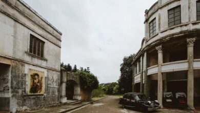 GOGO Live China Mod Versi Hijau & Ungu dengan Fitur Lokasi + Nomor