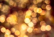 Bokeh Effect Bokeh India Full HD Viral No Sensor Terbaru 2023
