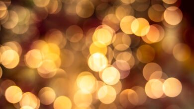 Bokeh Effect Bokeh India Full HD Viral No Sensor Terbaru 2023