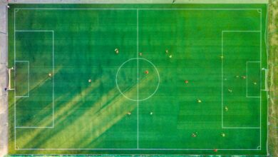 Dream League Soccer 2023 Mod Apk V10.230: Endless Diamonds Await!