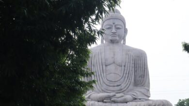 Renang Gaya Dada: Dasar Gerakan dan Sejarah