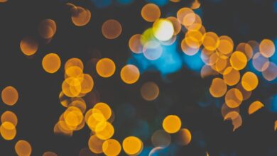Film Bokeh Effect Terbaru yang Viral dan Terpanas Saat Ini