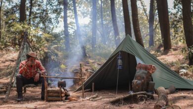 Survive Game 18: Download the Latest Version (2023) of Survive Apk