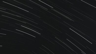 Download A Space For The Unbound Version 1.0.22.0 from Steamunlocked