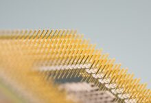 Dapatkan Chip Higgs Domino Gratis dengan Mengklaim Melalui Sedekah CF