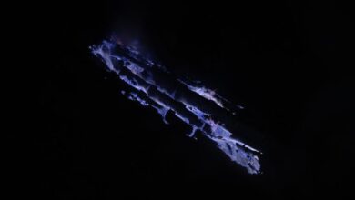 Yandex Blue Indonesia 2022 Super HOT Bokeh Museum Video