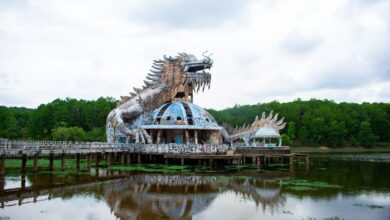 Hungry Dragon Mod Apk v4.9 (Membuka Semua Naga) Terbaru