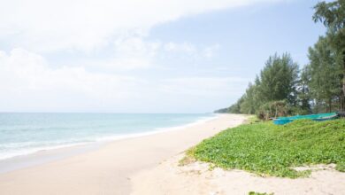 Pengenalan, Proses, Varietas, dan Manfaat Batuan Sedimen