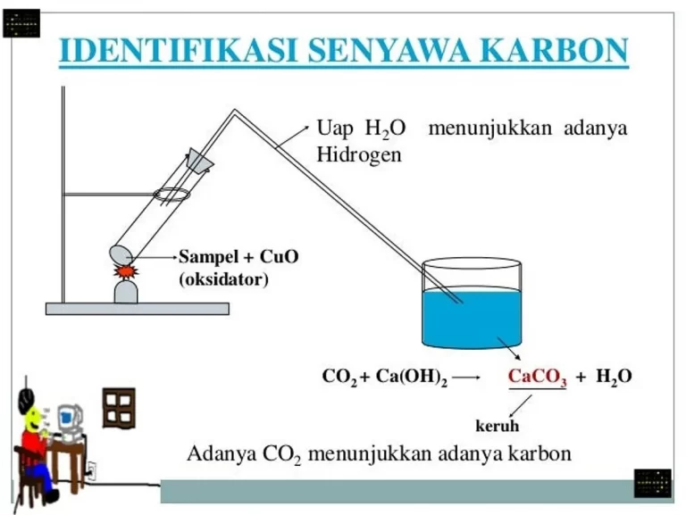 Contoh Aplikasi Deret Homolog pada Hidrokarbon