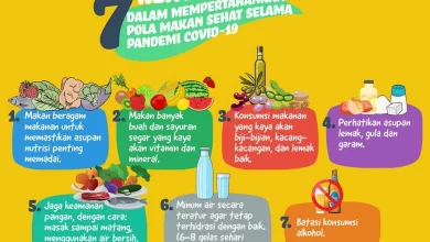 Hubungan Antara Pola Makan dan Kesehatan Jantung