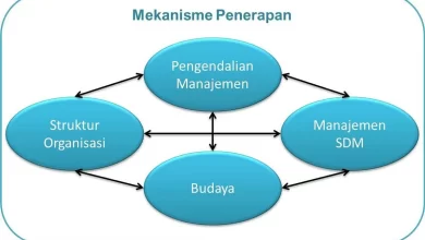 Implementasi Studi Kasus Adalah dalam Bidang Praktis