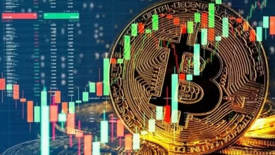 Langkah-langkah Menyusun Portofolio Cryptocurrency yang Diversifikasi