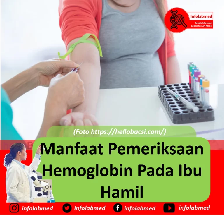 Manfaat Pemahaman HB pada Ibu Hamil untuk Kesehatan