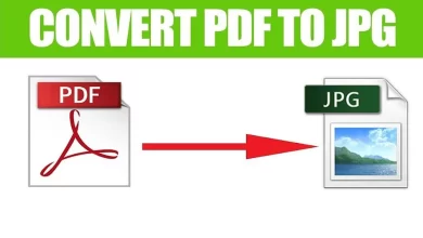 Mengapa Konversi PDF ke JPG Penting?