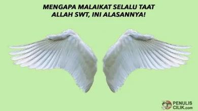 Mengapa Malaikat Selalu Taat kepada Allah Subhanahu wa Ta'ala