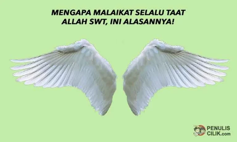 Mengapa Malaikat Selalu Taat kepada Allah Subhanahu wa Ta'ala