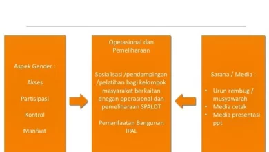 Mengapa Pendidikan Seks Penting dalam Kurikulum?