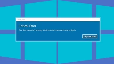 Mengatasi Pesan Kesalahan Windows Has Encountered a Critical Error di Windows