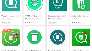 Mengembalikan Pesan WhatsApp yang Terhapus Cepat dan Efektif