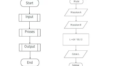 Mengenal Contoh Algoritma dan Flowchart